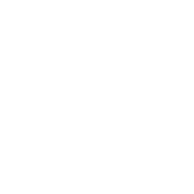 Versión Amp de la página